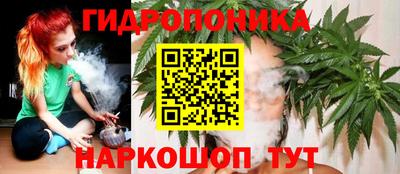 наркотики Будённовск