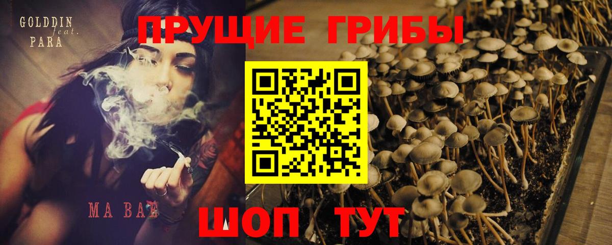 Галлюциногенные грибы Magic Shrooms Краснотурьинск